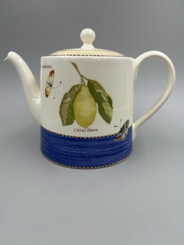 Sarah garden wedgewood blue - garden,