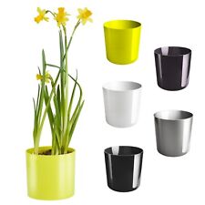Cactus Plant Pot Round Plastic Pots Cylinder Modern Decorative high gloss