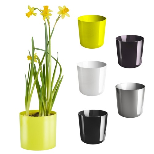 Cactus plant pot - cactus, round