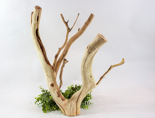 Manzanita aquarium driftwood - manzanita,
