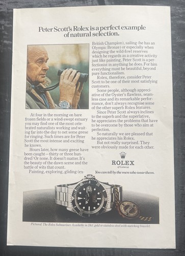 Rolex watch print peter - print, ad.