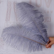  Dreamland Ostrich Feather