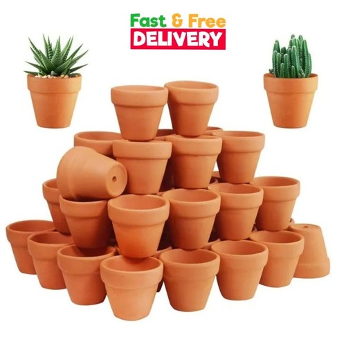 50pcs mini terracotta clay - 50pcs,