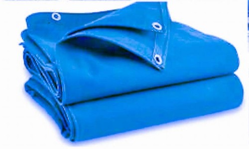 Eco green canvas - eco,