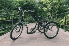 AMCargoBikes Electric Tricycle