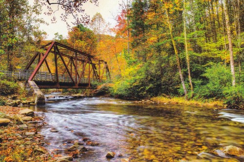 Laurel creek autumn - laurel, in