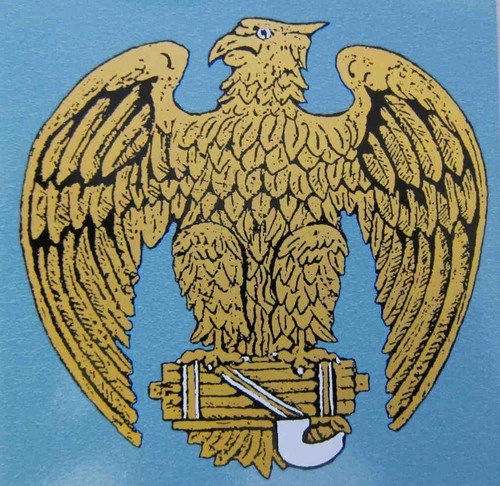 Mvsn generals helmet - mvsn,
