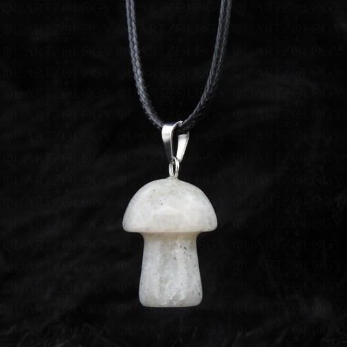 Mushroom necklace fungi - mushroom,