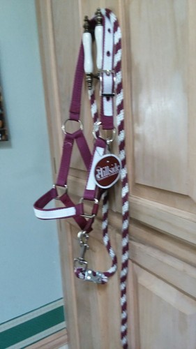 New nylon halter - nylon, horse