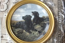 Royal Doulton framed plate