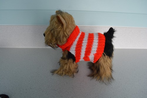 Hand knitted dog - xs,