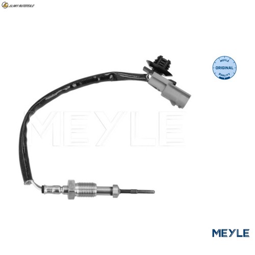 Exhaust gas temperature - exhaust, sensor
