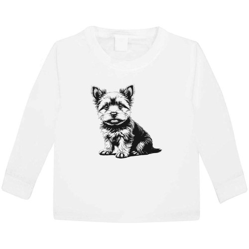 Cute yorkshire terrier puppy - 'cute,