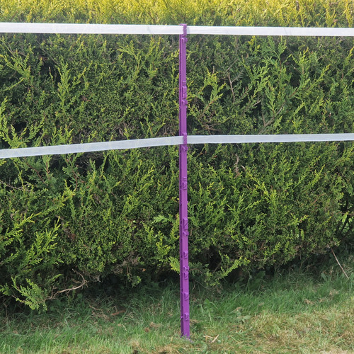 Purple 5ft poly - 5ft, 156cm