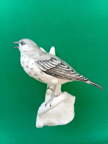 Crown staffordshire song - staffordshire, "song