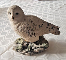 Border Fine Arts Birds