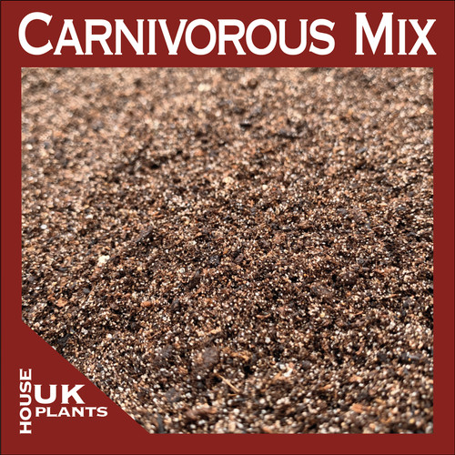 Carnivorous compost soil venus - compost,