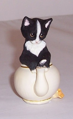 Country artists kitten tales - artists,