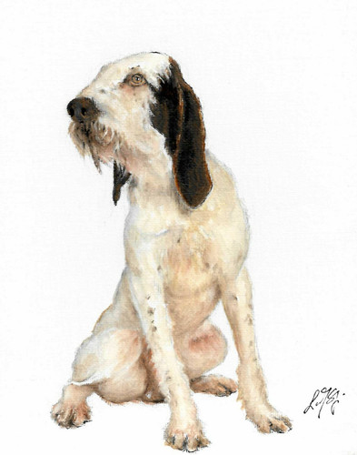 Original oil portrait - original,