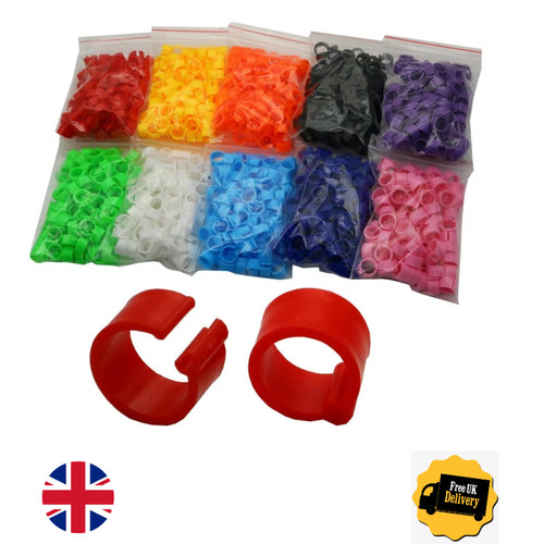 100pcs 8mm bird leg - bird,