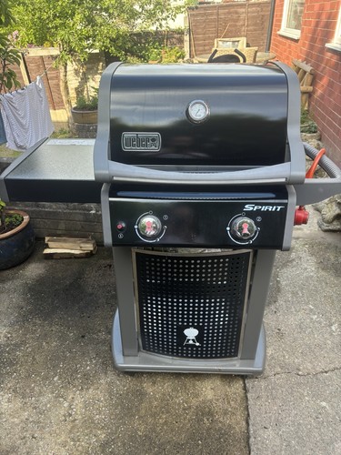 Webber spirit gas - webber,