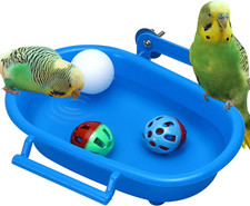 Budgie Bath Tub Bird Bath for