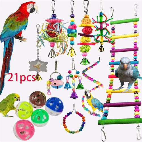 Pack parrot toys - pack,