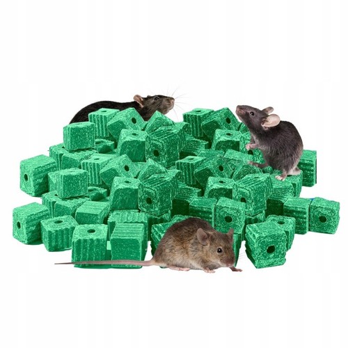 Super strong ratimor rat - rat, &
