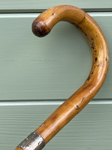 Antique bamboo gentlemans cane - bamboo,