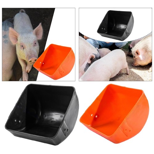 Pig feeding trough piglet - trough,