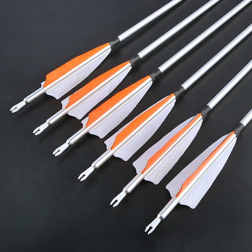 Archery aluminum - 12, x