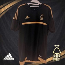 Nottingham Forest 2015/16