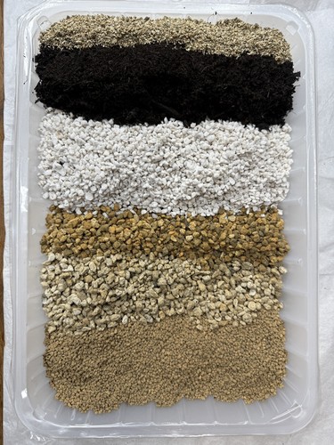 Premium soil mix lithops - mix-,