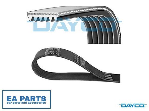 Ribbed belts for - belts,