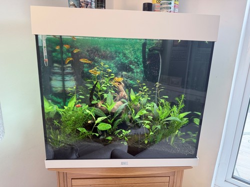 Juwel lido 120 aquarium - juwel,