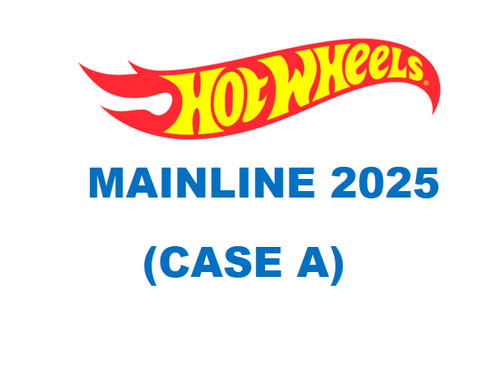 Hot wheels mainline case - hot,