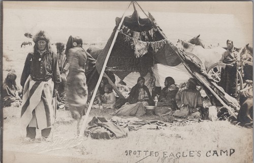 Spotted eagle camp rppc - spotted,