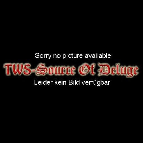Dvd terminator the - dvd,
