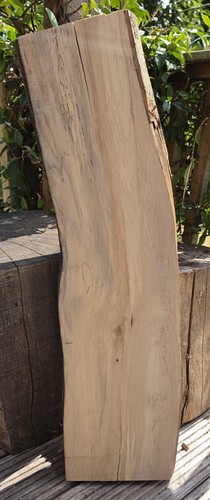 Hornbeam live edge - hornbeam,