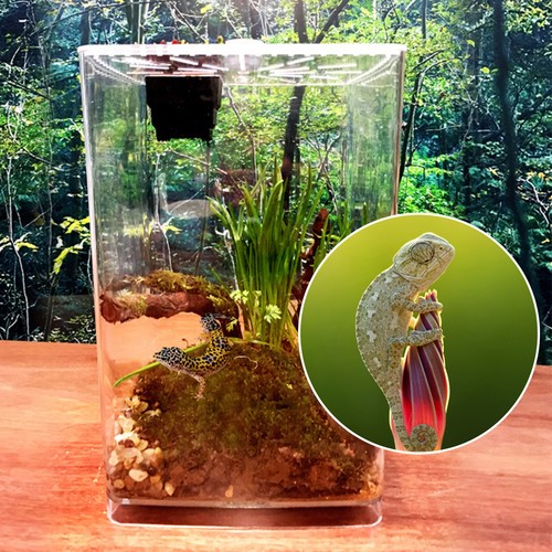 Large acrylic reptile - large,