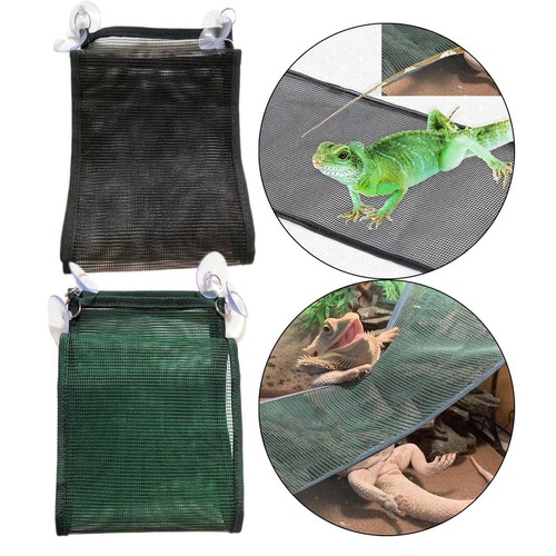 Reptile hammock chameleon - reptile,