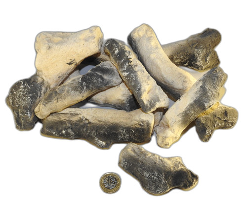 Bio ethanol log - bio,