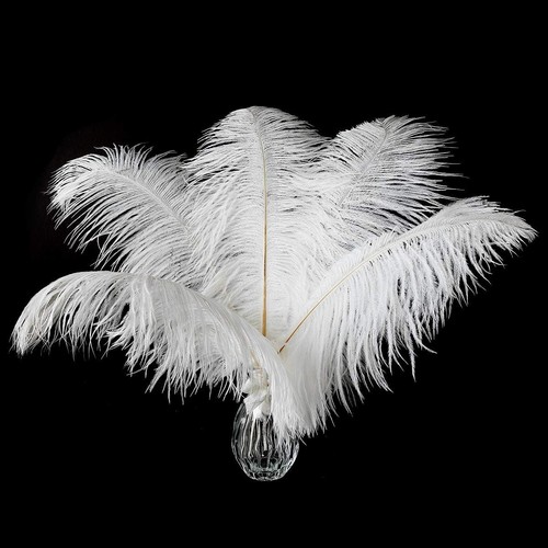 Large white ostrich - large,