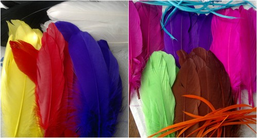 Pack large goose - pack,