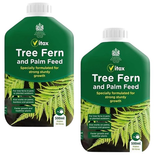 Vitax tree fern palm - 2x,