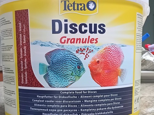 Tetra discus granules - tetra, fish