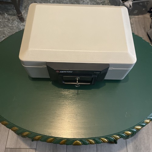 Sentry 1100 portable fire - sentry,