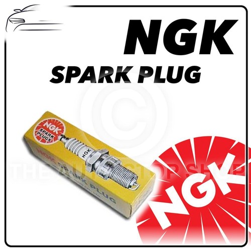 Ngk spark plug - ngk,