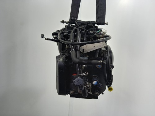 Kawasaki 250 engine - ex,