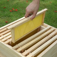 10 Ready to Use National Brood